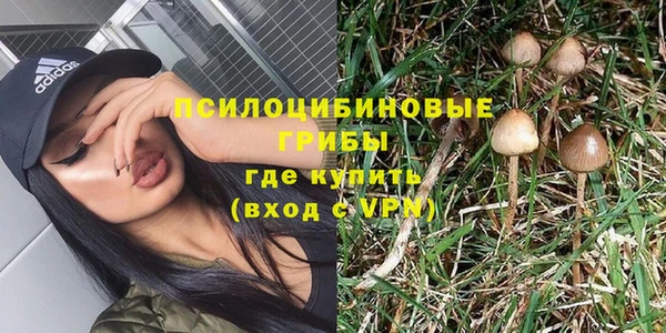 МДПВ Медвежьегорск
