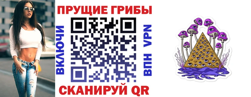 Псилоцибиновые грибы Cubensis  Кызыл 