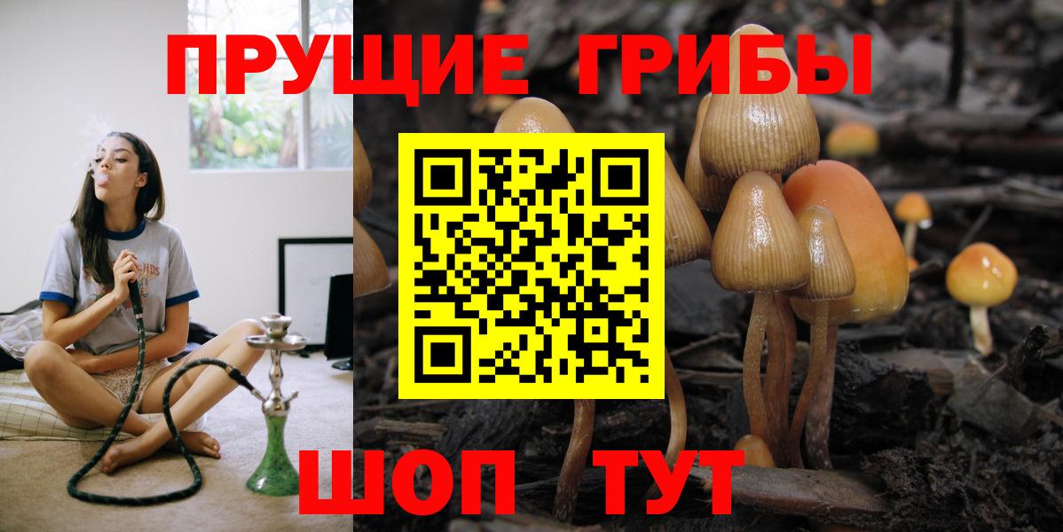 Псилоцибиновые грибы прущие грибы  Вход с VPN  Кызыл 
